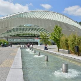 La gare des Guillemins